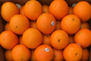 Oranges for Export -Western Pacific Produce